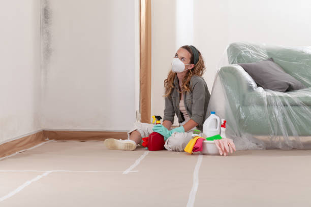 Reliable Mold Testing contractor in Middleville, MI by WQB Mold Removal