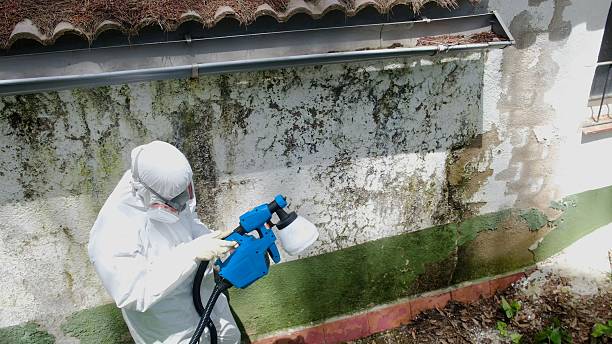 Top rated local Mold Testing specialists in Middleville, MI